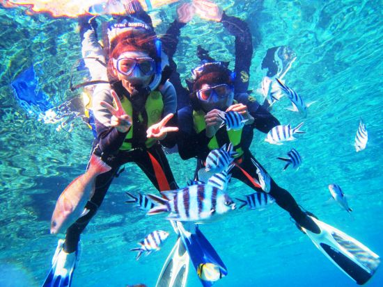 青の洞窟 シュノーケリング　選べるコース・貸切orみんなでワイワイ！２ポイント回遊！がっかりさせない真心ツアー＜ボート／ショップ設備利用可／読谷村発＞