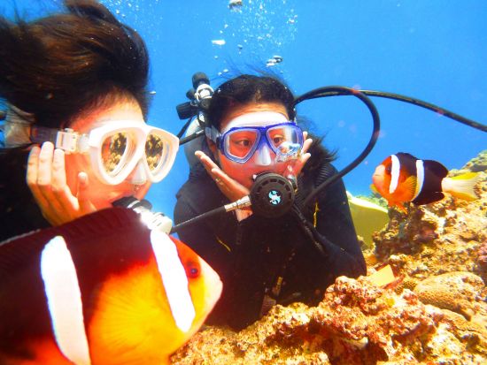 青の洞窟 体験ダイビング　自社専用船で２ポイント回遊たっぷり60分プラン！がっかりさせない真心ツアー＜ボート／ガイド貸切／ショップ設備利用可／読谷村発＞