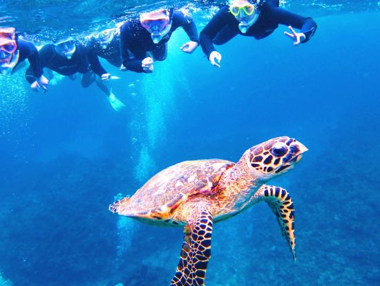 慶良間シュノーケリング　専門誌11年連続1位評価！完全禁煙船でお魚ガイドとミシュランエリア3ポイント回遊！写真・タオル・ランチ無料＜1日／那覇市内送迎無料＞