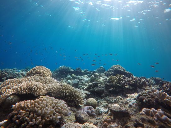 慶良間シュノーケリング　パラセーリング・マリンスポーツセットあり！ウォータースライダー遊び放題の完全禁煙船！写真・バスタオル無料＜半日／那覇市内送迎無料＞