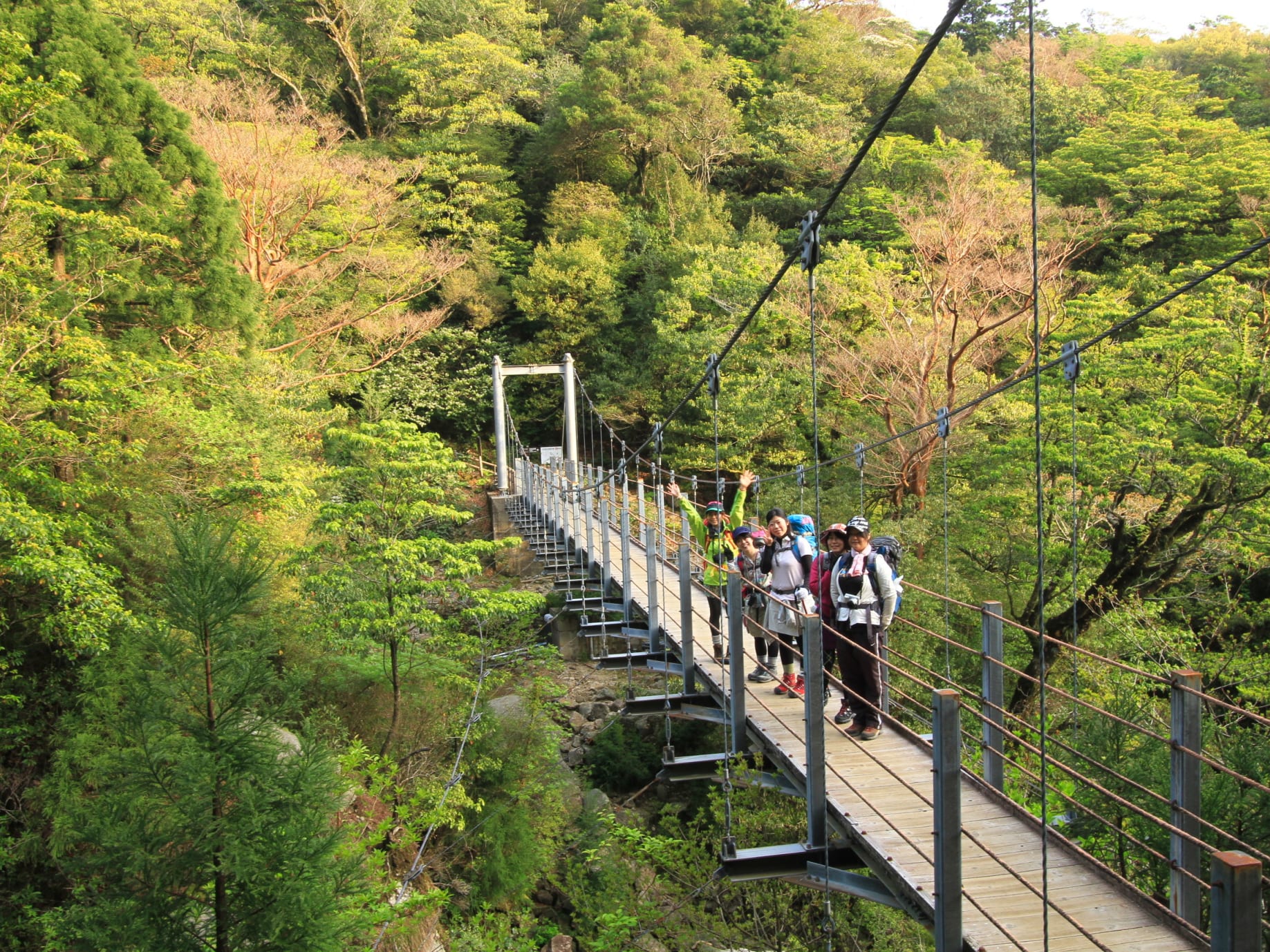 縄文杉トレッキング 1泊2日キャンプツアー ガイドの手作り料理も味わえる！＜貸切、登山装備レンタル可能＞ by 屋久島ガイド 山好き | 屋久島の観光・オプショナルツアー専門  VELTRA(ベルトラ)