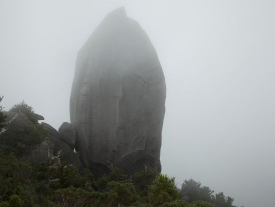 太忠岳（ヤクスギランド『蛇紋杉→天文の森→太忠岳山頂』） 日帰りトレッキングツアー＜貸切、登山装備レンタル可能＞ by 屋久島ガイド　山好き