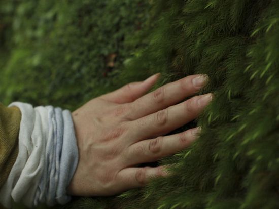 太忠岳（ヤクスギランド『蛇紋杉→天文の森→太忠岳山頂』） 日帰りトレッキングツアー＜貸切、登山装備レンタル可能＞ by 屋久島ガイド　山好き