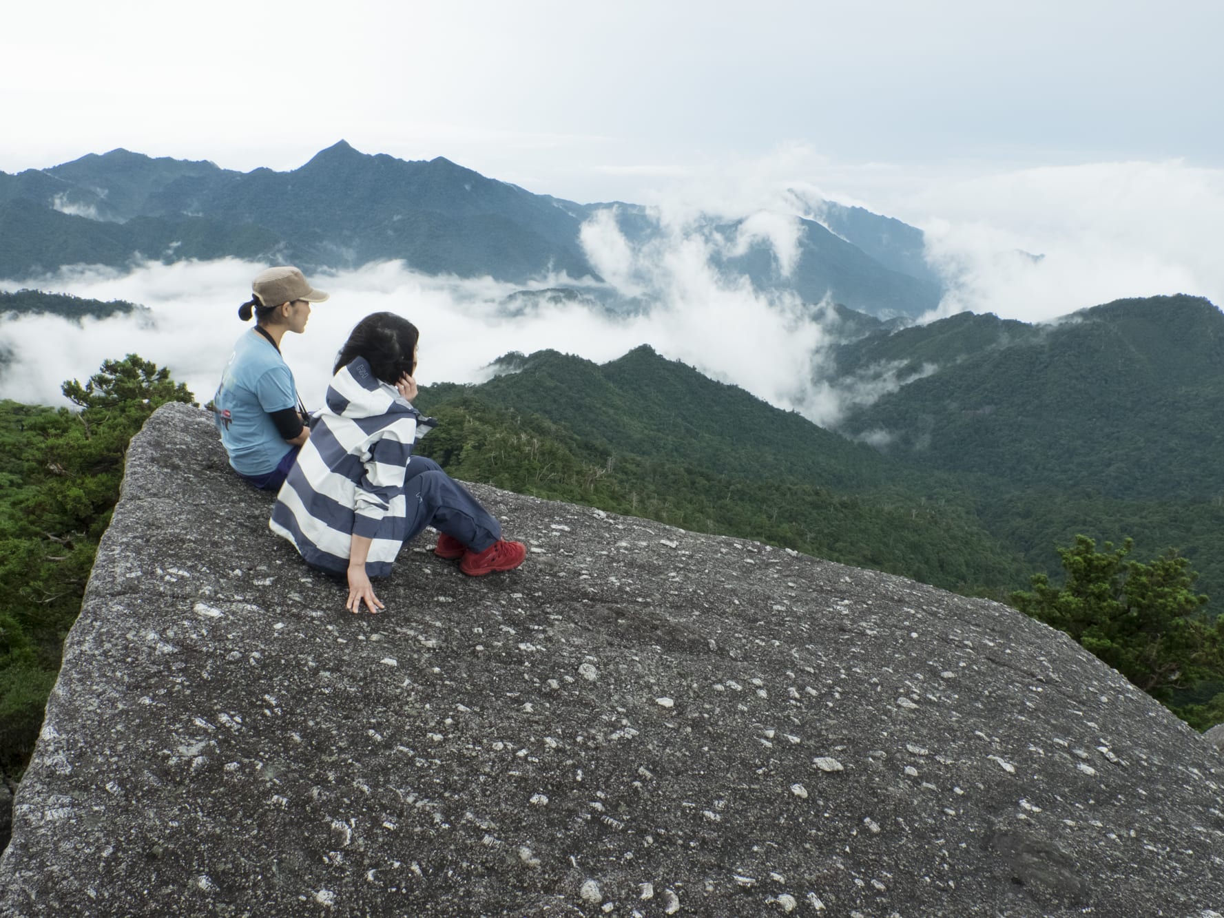 太忠岳（ヤクスギランド『蛇紋杉→天文の森→太忠岳山頂』） 日帰り