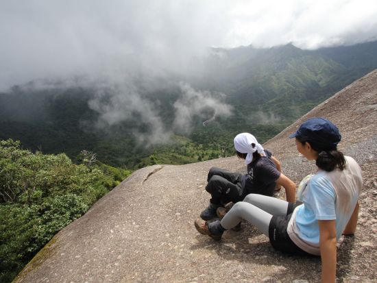 白谷雲水峡半日（苔むす森）または 1日（奉行杉・太鼓岩）トレッキングツアー  ＜貸切、登山装備レンタル可能＞ by 屋久島ガイド 山好き