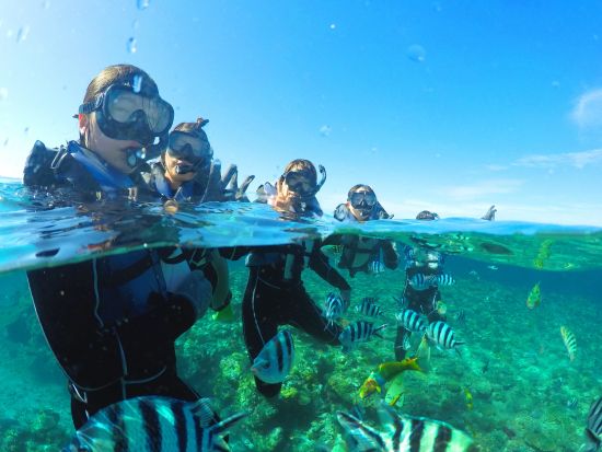 慶良間シュノーケリング　揺れに強い大型船／GoProレンタル付きパラセーリングやバナナボートセットコースあり／写真・ドリンク無料＜半日／那覇発＞