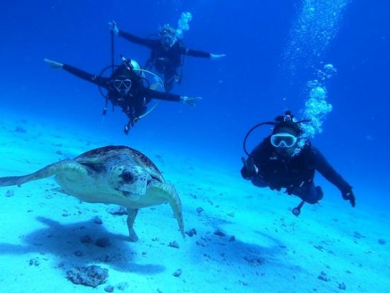水納島ボート体験ダイビング ミシュラン一ツ星の島へ上陸＆フリータイム海水浴＜北部発／4〜10月／1ダイブ／GoPro写真・パラソル・温水シャワー無料＞