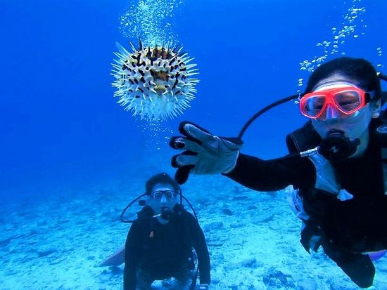 水納島ボート体験ダイビング ミシュラン一ツ星の島へ上陸＆フリータイム海水浴＜北部発／4〜10月／1ダイブ／GoPro写真・パラソル・温水シャワー無料＞の写真5
