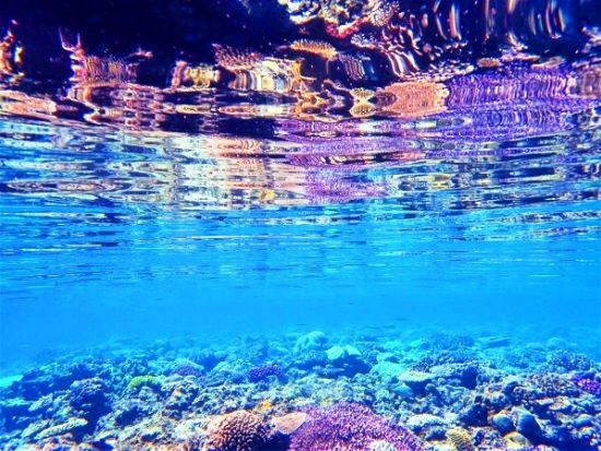 水納島ボートシュノーケリング　ミシュラン一ツ星の島プチ上陸！楽しい魚ガイドが大好評＜北部発／11〜4月／GoPro写真・ウェットスーツ・温水シャワー無料＞