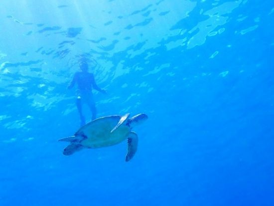 水納島ボートシュノーケリング　ミシュラン一ツ星の島プチ上陸！楽しい魚ガイドが大好評＜北部発／11〜4月／GoPro写真・ウェットスーツ・温水シャワー無料＞