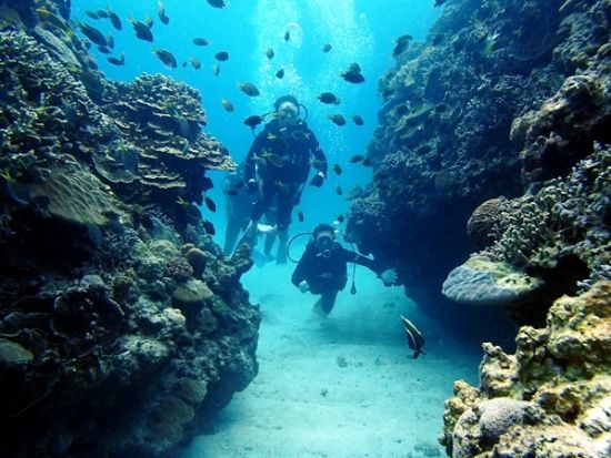 水納島ボート体験ダイビング ミシュラン一ツ星の島へ上陸＆フリータイム海水浴＜北部発／4〜10月／1ダイブ／GoPro写真・パラソル・温水シャワー無料＞