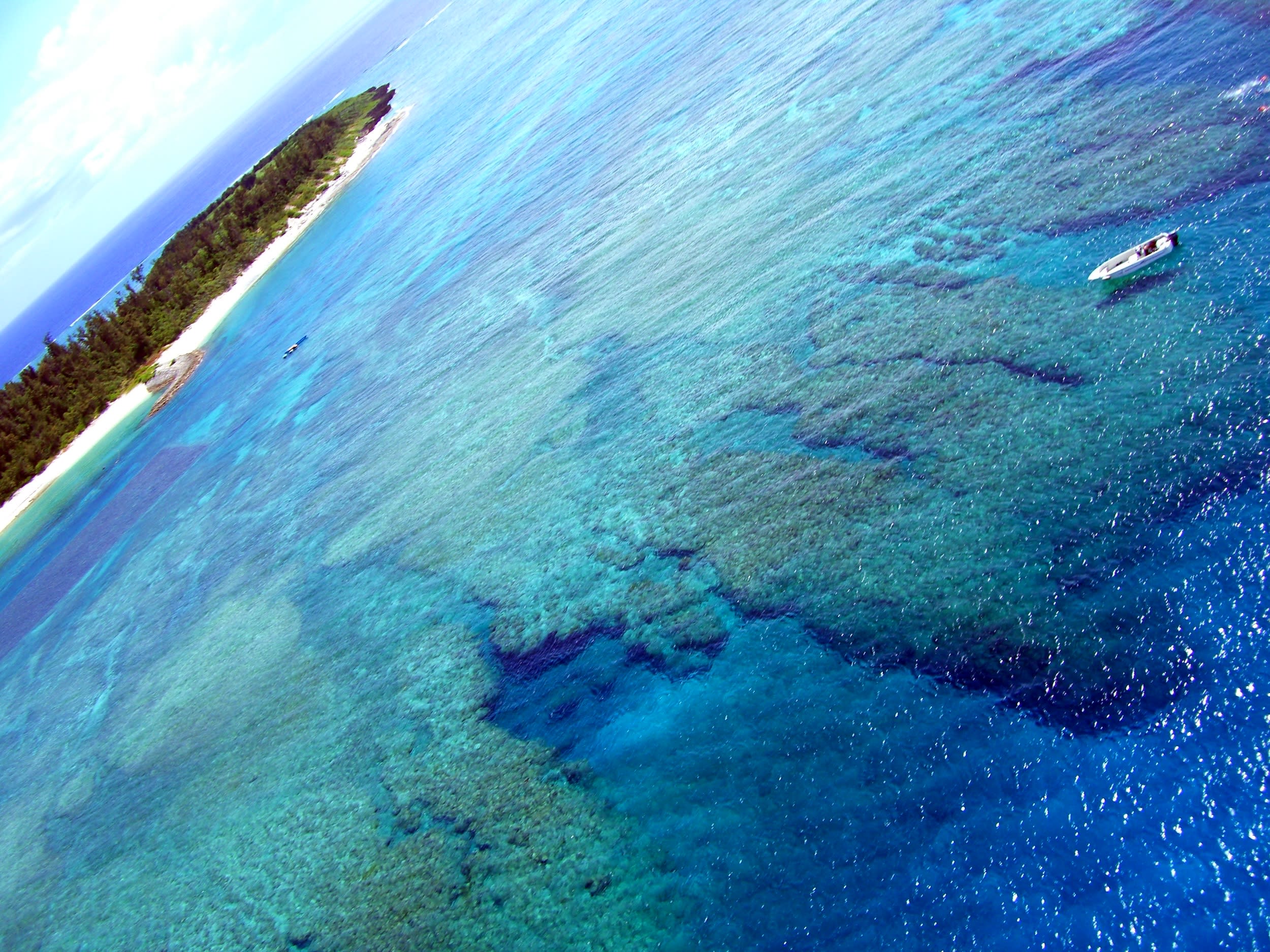 水納島ボートシュノーケリング ミシュラン一ツ星の島へ上陸 楽しい魚ガイド フリータイム海水浴 北部発 4 10月 Gopro写真 パラソル 温水シャワー無料 沖縄本島の観光 オプショナルツアー専門 Veltra ベルトラ