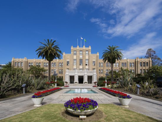 宮崎市内発着貸切観光タクシー　宮崎市内の定番スポットをめぐる！青島＋堀切峠＋宮崎県庁 ＜約2.5時間＞ by 宮交タクシー株式会社