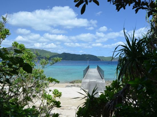 【奄美大島発】加計呂麻島（かけろまじま）散策ツアー＜半日 or 1日／奄美大島・せとうち海の駅集合＞ by スローガイド奄美
