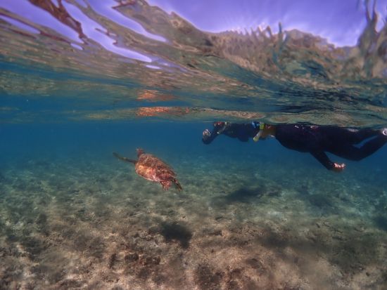 【初心者専門店】が案内する【シュノーケリング】屋久島の海でウミガメと一緒に泳ごう♪専用施設＆駐車場、更衣室＆温水シャワー有り♪by夢心地