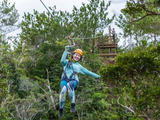  ジップライン やんばるの森で絶景＆スリルを満喫！世界遺産の壮大な景色が舞台の爽快アクティビティ ガイド同行の安全な空中散策＜沖縄／5本コース／ガイド解説付＞ 