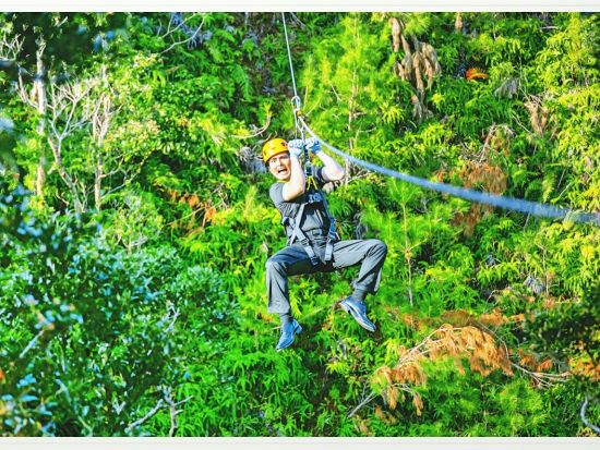  ジップライン やんばるの森で絶景＆スリルを満喫！世界遺産の壮大な景色が舞台の爽快アクティビティ ガイド同行の安全な空中散策＜沖縄／5本コース／ガイド解説付＞ 