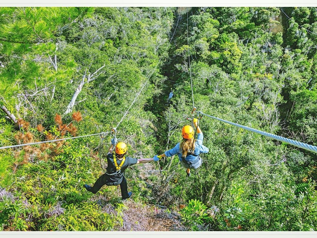 ジップライン | 沖縄本島 旅行の観光・オプショナルツアー予約 VELTRA