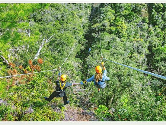  ジップライン やんばるの森で絶景＆スリルを満喫！世界遺産の壮大な景色が舞台の爽快アクティビティ ガイド同行の安全な空中散策＜沖縄／5本コース／ガイド解説付＞ 