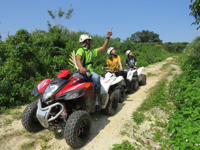 バギー Atv ライド ジャングルバギー体験 巨大ガジュマルを探索 貸切プランあり 免許不要 ネイチャーガイドの解説付 糸満市 沖縄本島の観光 オプショナルツアー専門 Veltra ベルトラ バギー Atv ライド ジャングルバギー体験 巨大ガジュマルを探索 貸切プランあり 免許不要 ネイチャーガイドの解説付 糸満市 沖縄本島の観光 オプショナルツアー専門 Veltra ベルトラ
