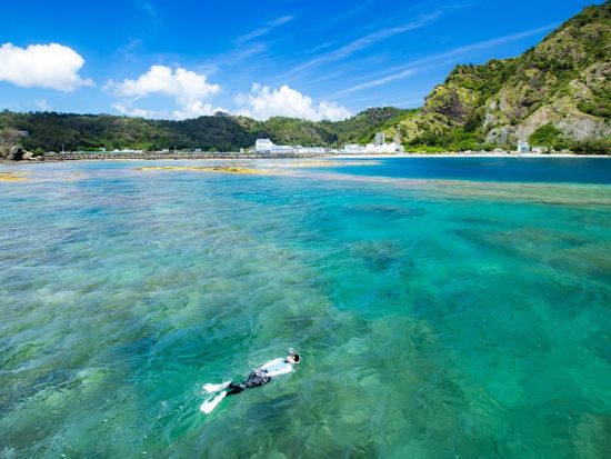 小笠原 シュノーケリング体験　はじめての方向けの安心のレッスン＜入港日限定／午後／小笠原諸島・父島発＞by小笠原エコツーリズムリゾート