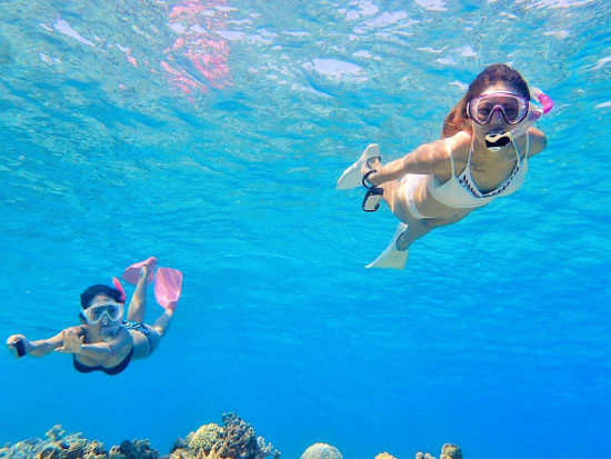 慶良間シュノーケリング 座間味島発 半日 カラフルなサンゴと熱帯魚いっぱいのケラマブルー 温水シャワー トイレ完備 座間味島内送迎可 By ダイビングチーム潮 沖縄本島の観光 オプショナルツアー専門 Veltra ベルトラ