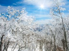 shutterstock_1323699863