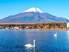 shutterstock_1804777342