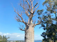 Kings park(3)
