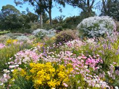 Kings park(13)