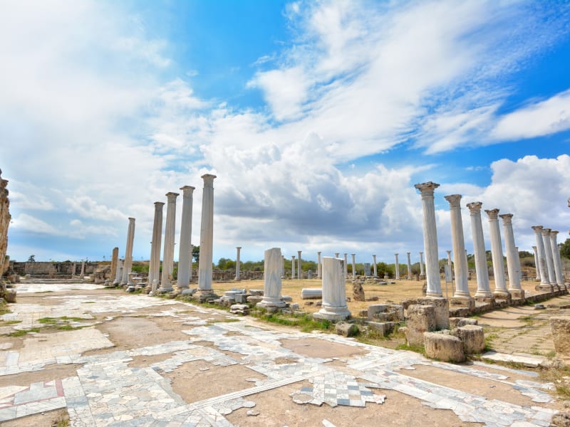 Cyprus_Salamis-City-Ruins_shutterstock_414398152