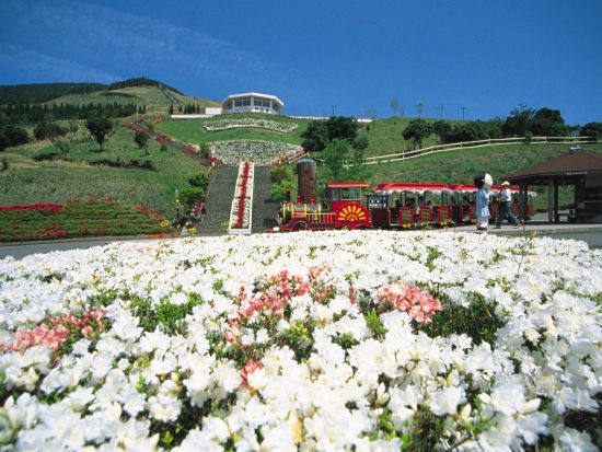 霧島市内／鹿児島空港発着 貸切観光タクシー　神話の里 霧島満喫の旅　塩浸温泉＋丸尾の滝＋霧島神宮＋神話の里公園 ＜約3時間＞ by 旭交通タクシー