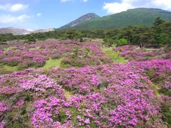 えびの高原2