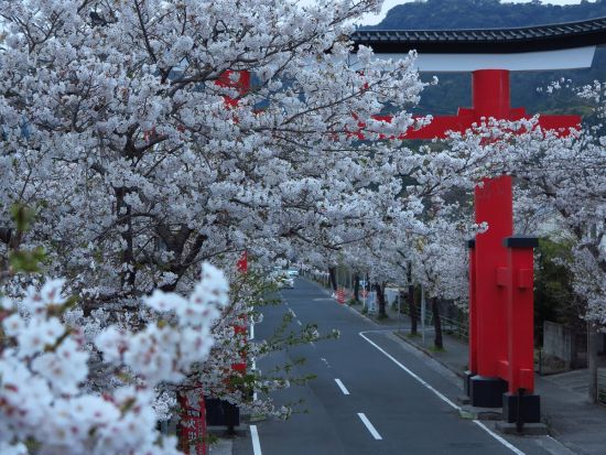 霧島市内発着貸切観光タクシー　神話の里 霧島満喫の旅　隼人塚＋鹿児島神宮＋大隅国分寺跡＋上野原縄文の森へご案内＜4時間＞
