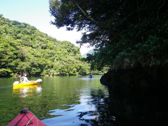 リバーカヤック 半日コース 穏やかな流れの安房川は初めてでも安心！by 登山用品レンタルの山下