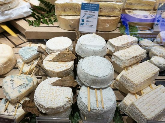 LES HALLES DE LYON_MONS_03