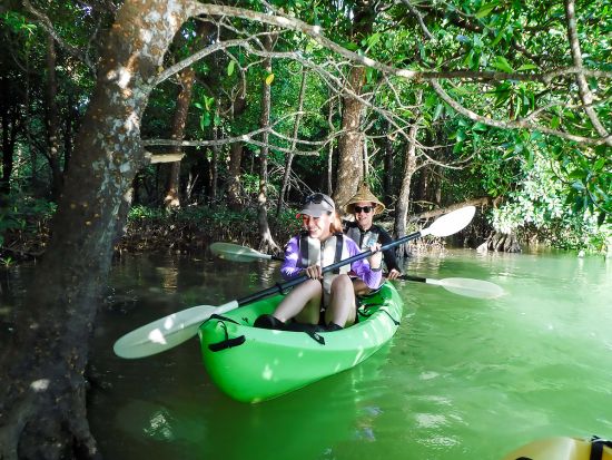 マングローブカヌーツアー　島内最大の流域面積を誇る宮良川のマングローブを探索！＜当日10時まで予約可＞By 石垣島観光