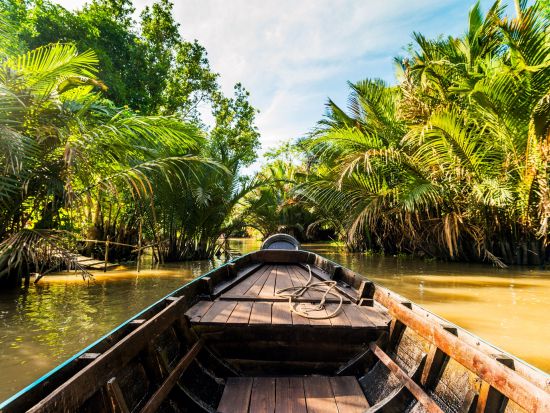 一番人気！メコン川クルーズ日帰りツアー　YouTuberベトナムひろみさん監修プラン＆ホアトゥック夕食付プラン有＜日本語ガイド／象耳魚の昼食／早朝空港お迎え可＞