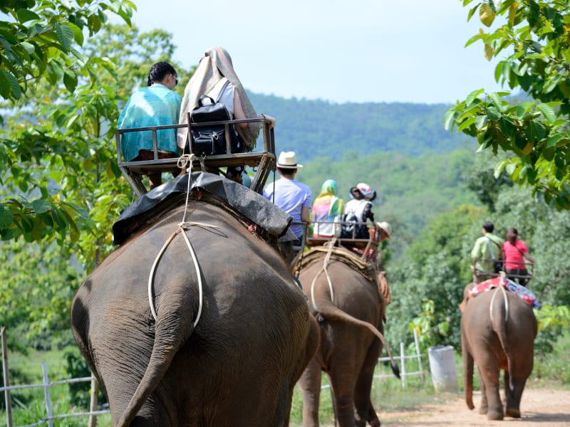 Thailand_Chiang Mai_Elephant Ride_shutterstock_344326898