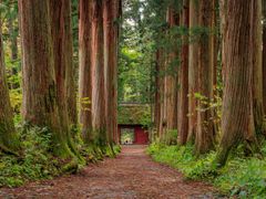 shutterstock_1611252499