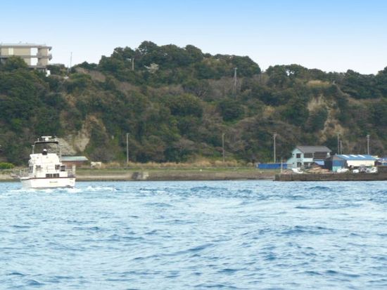 With Ocean Marine Harbor