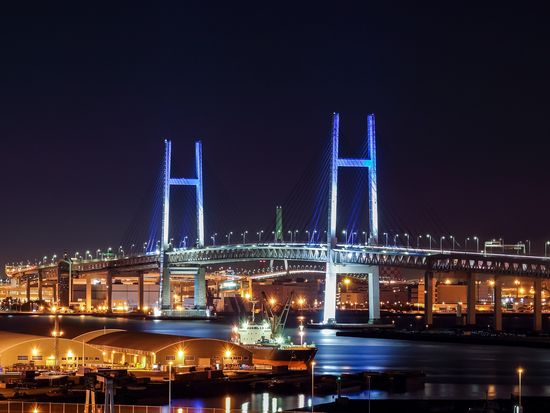 shutterstock_734550562