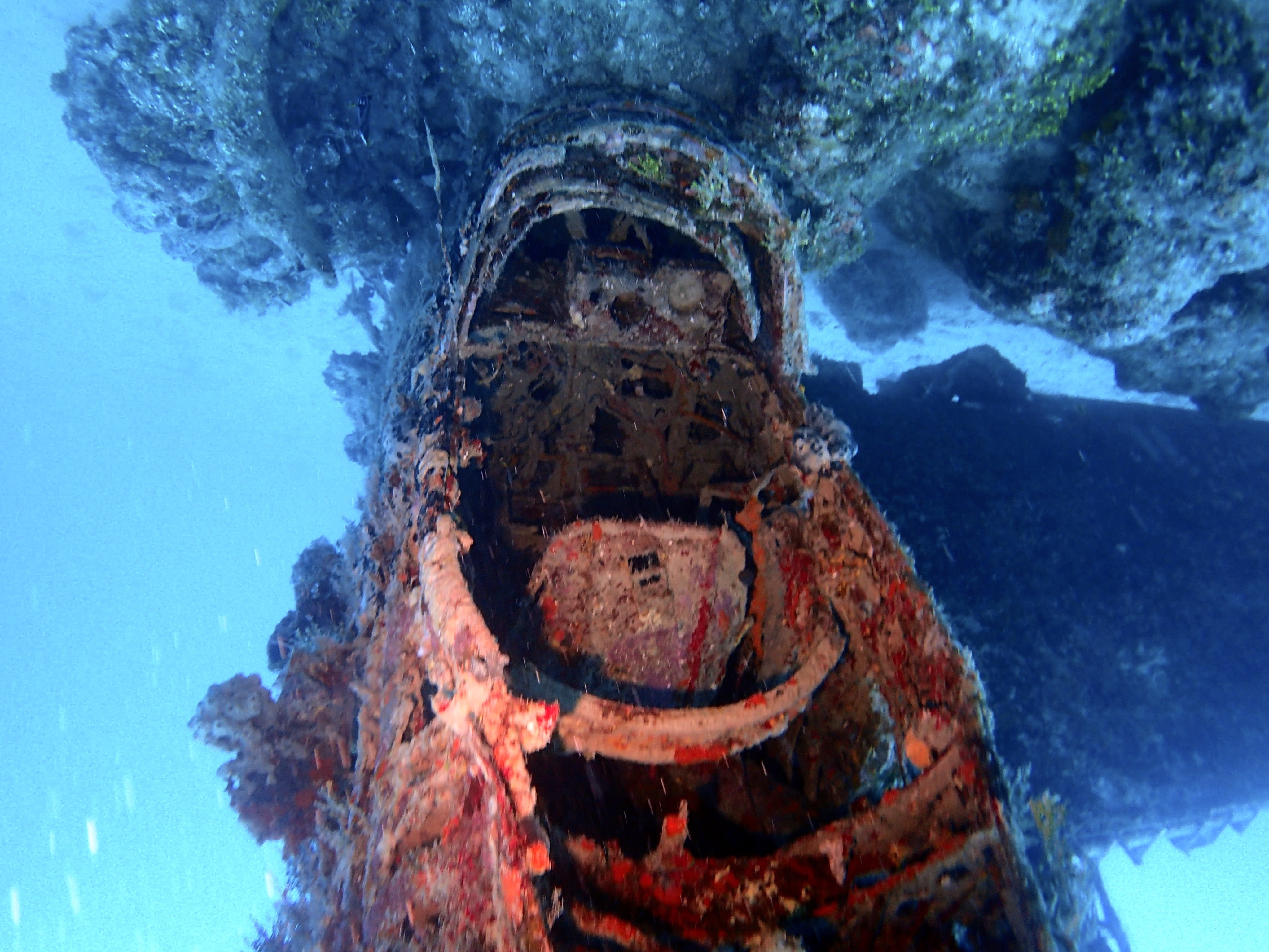 ボートで巡るグアム太平洋戦争戦跡ツアー 水中考古学研究者が海の戦跡