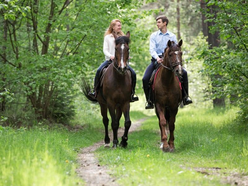 Horse_Ride_Couples_shutterstock_580356865