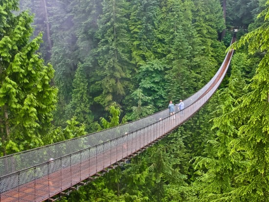 Canada_British Columbia_Vancouver_Capilano_Suspension Bridge_shutterstock_775976068