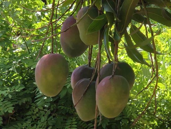 received_765819570925864