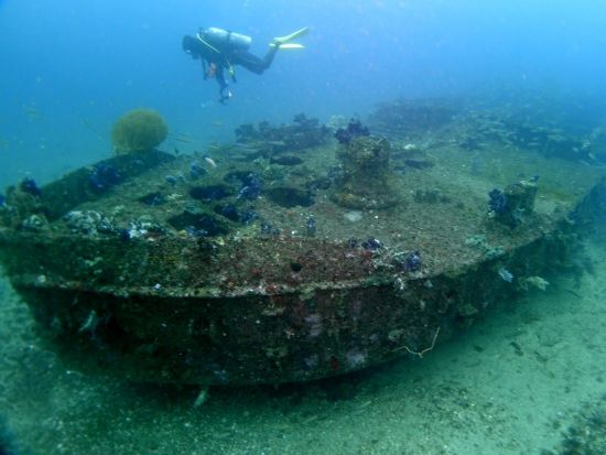 ファンダイビング 初島 マクロからワイドまで豊富！ボートダイブ並みのダイナミックな海＜ビーチ／2ダイブ／熱海発＞by バラクーダ・ダイビングサービス
