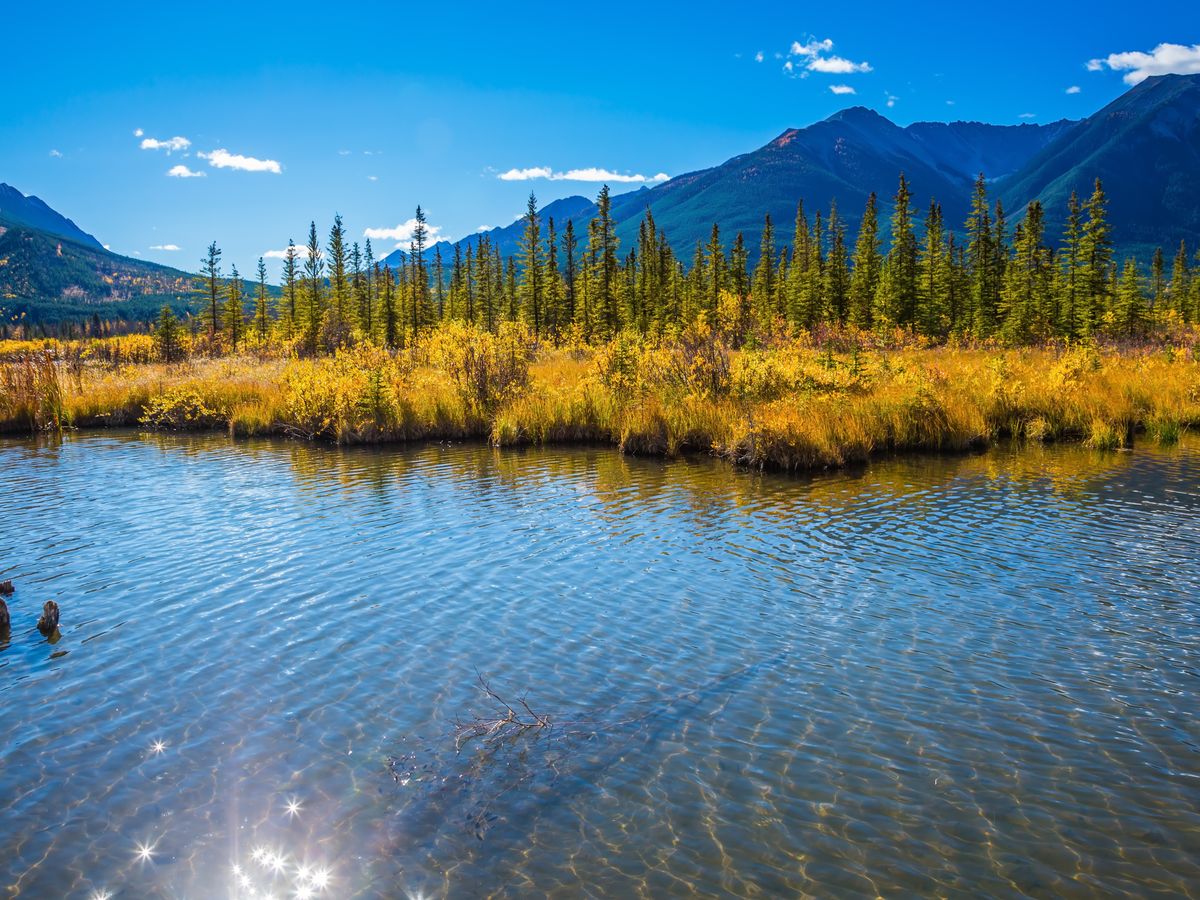 サイクリング カヌー ハイキング 温泉 3つのアクティビティ体験の充実1日ツアー 6 9月 昼食付 日本語ガイド バンフ発 バンフ レイクルイーズの観光 オプショナルツアー専門 Veltra ベルトラ