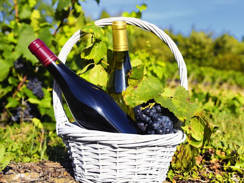 White_and_Red_Wine_in_a_Basket_Grapes_Vineyard_Winery_shutterstock_107139155