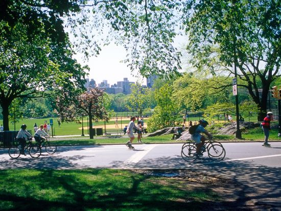 USA_New York_Central Park_Cycling_shutterstock_1886899